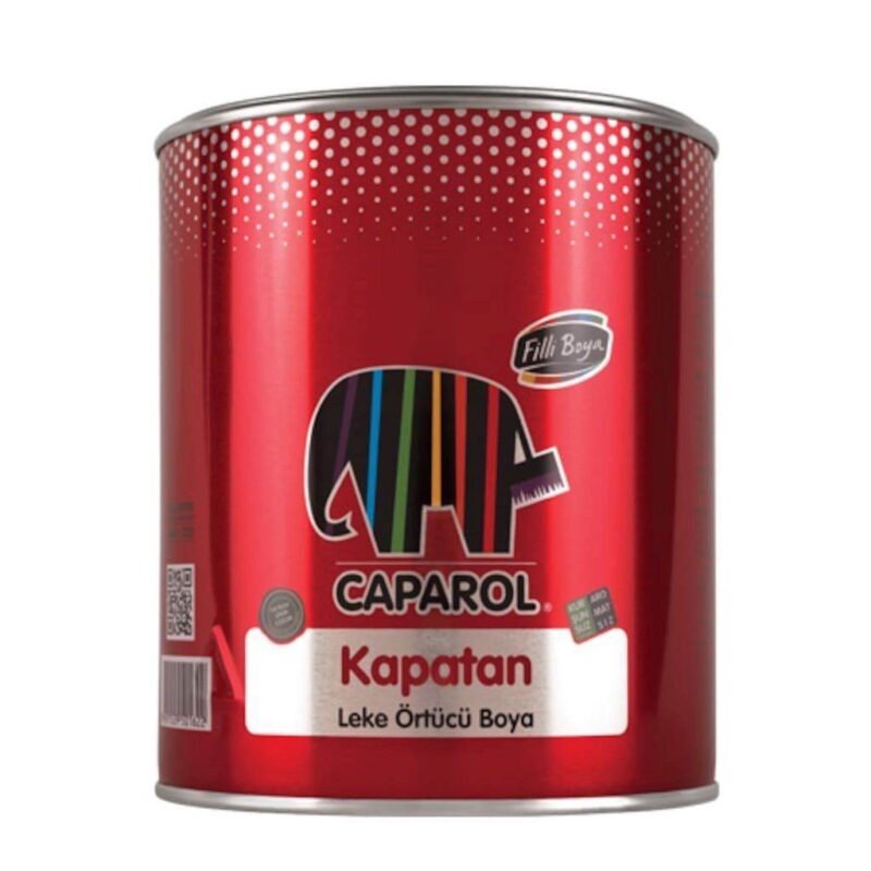 Filli Boya Kapatan Leke Örtücü Boya Mat Doku 2,5 Lt